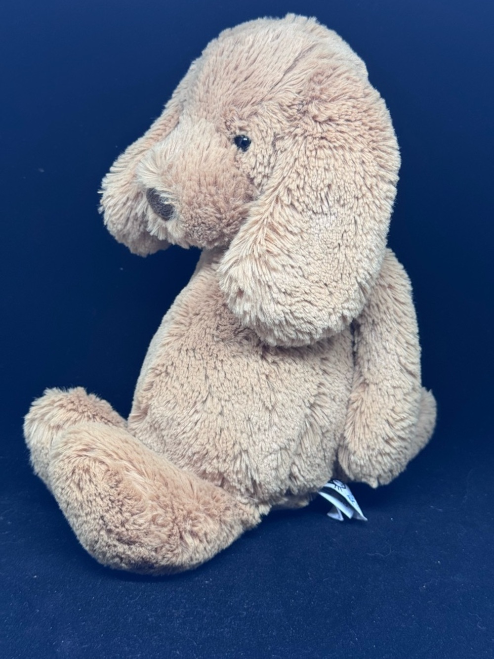 JELLYCAT - Bashful Toffee Puppy Dog Plush Toy - 12” - Picture 4 of 8
